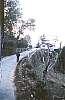 11816.jpg