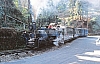 11838.jpg