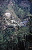 11841.jpg