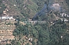 11843.jpg