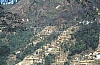 11845.jpg