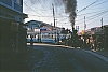 11849.jpg