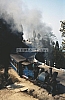 11863.jpg