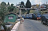 11883.jpg