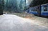 11889.jpg