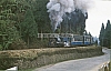 11893.jpg