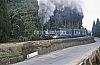 11894.jpg