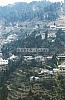11904.jpg