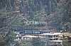11905.jpg