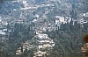 11907.jpg