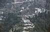 11909.jpg