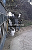 11932.jpg