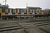 11940.jpg