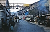 11955.jpg