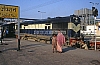 11970.jpg
