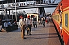 11972.jpg
