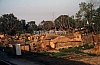 11977.jpg