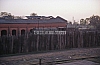 11980.jpg