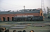 11981.jpg