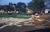 11984.jpg