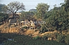 11986.jpg