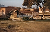 11992.jpg