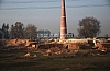 11993.jpg