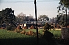 11994.jpg