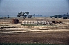 11996.jpg
