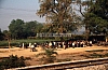11997.jpg