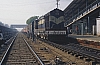 12000.jpg