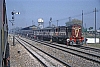 12010.jpg