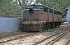 12051.jpg