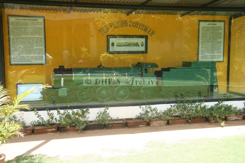 33029.JPG