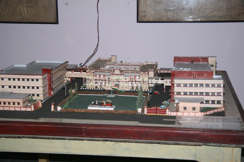 33043.JPG