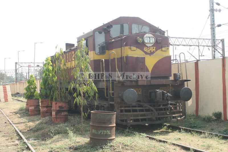 33186.JPG