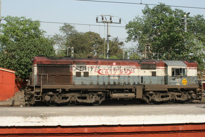 33202.JPG