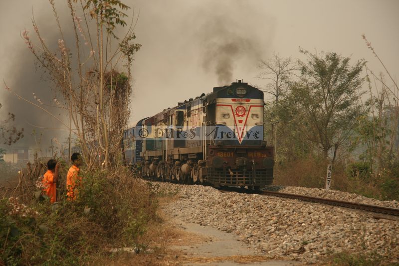 33241.JPG