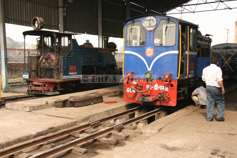 33451.JPG