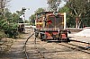 33016.JPG