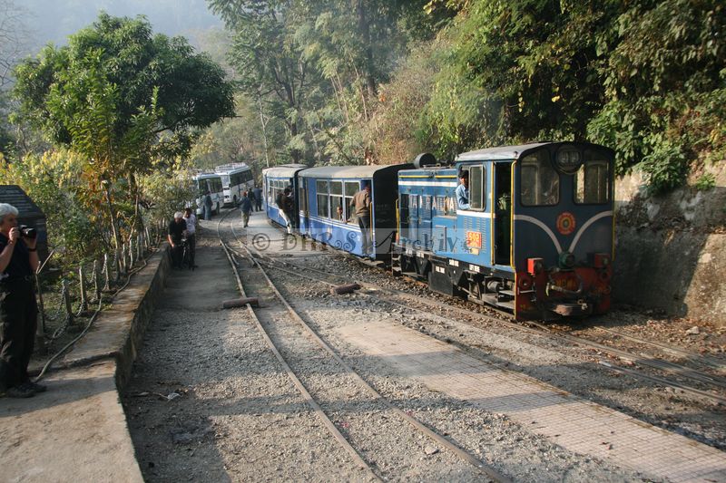 34502.JPG