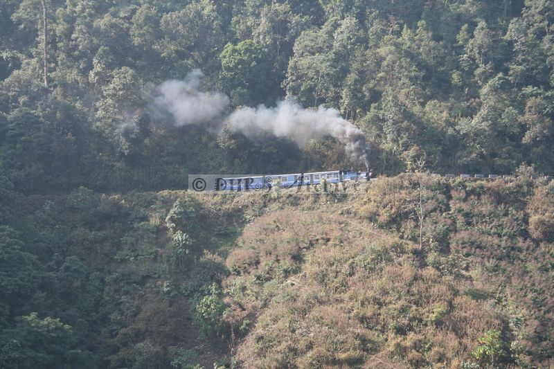 34511.JPG