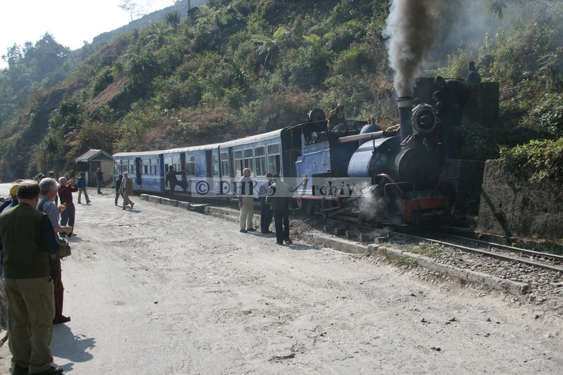 34525.JPG