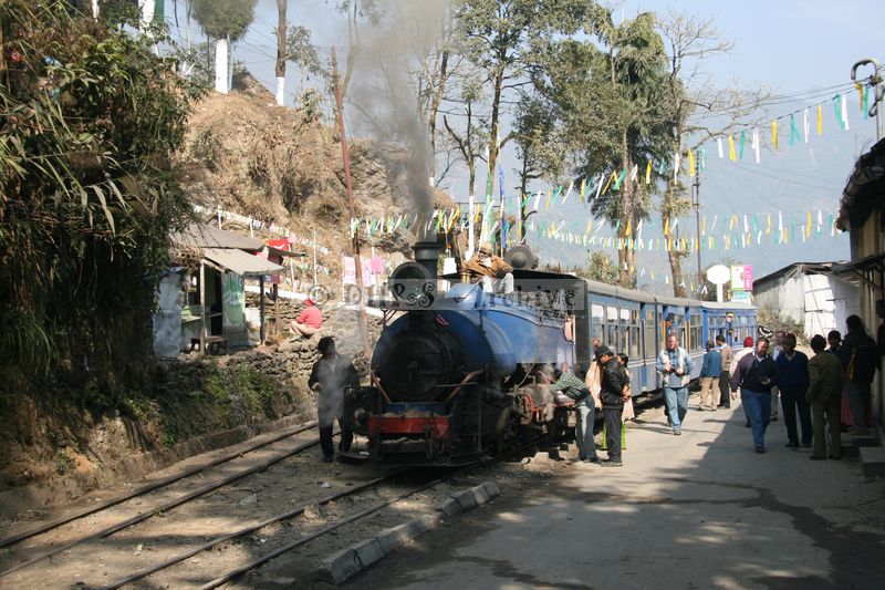 34536.JPG