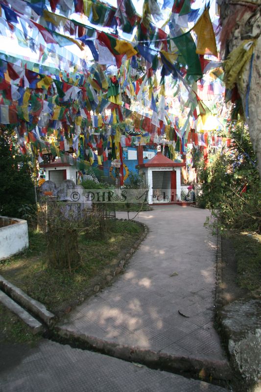 34648.JPG