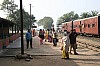 34733.JPG