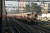 34897.JPG