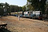 34909.JPG