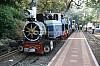 34957.JPG