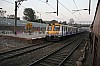 34964.JPG